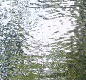 waterglass