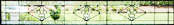 leaded glass transom