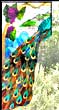 stained glass peacock corner panel