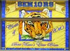 Class of 2010 stained glass tiger school window